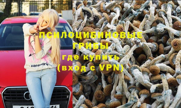 не бодяженный Дмитров