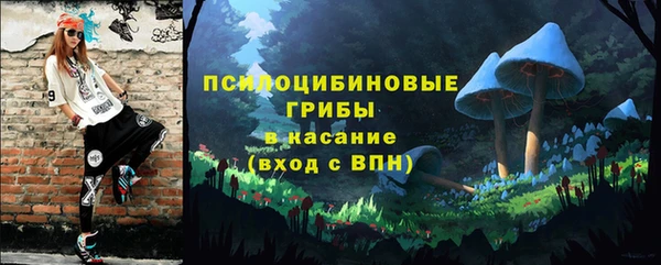 СК Дмитровск