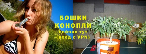 СК Дмитровск