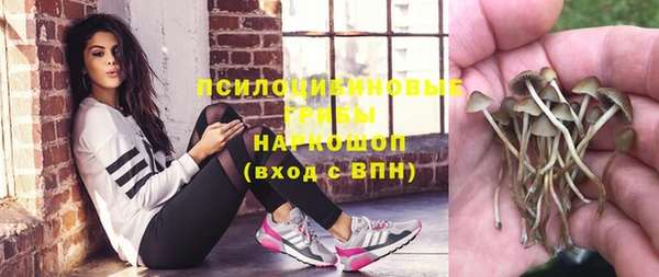 кокаин перу Дмитриев