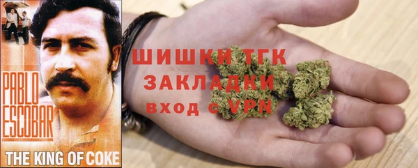 СК Дмитровск
