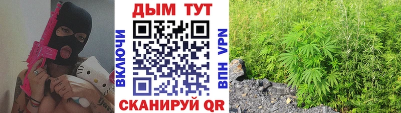 Марихуана Amnesia Купить Карасук